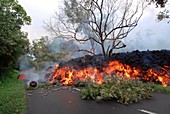 Volcanic eruption,Reunion Island