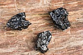 Sikhote-Alin meteorite fragments
