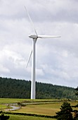 Wind turbine