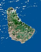 Barbados,satellite image