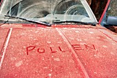 Layer of pollen on a car