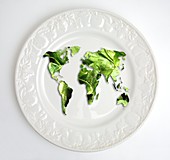 Lettuce map of the world