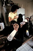 Chimpanzee conservation centre,Congo