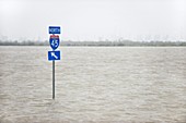 Hurricane Ike flood waters,2008