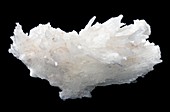 Coral calcite crystals