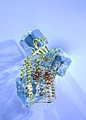 Cytochrome aa3 research,conceptual image