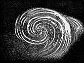 Spiral galaxy,19th century artwork