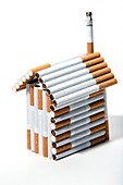 House made from cigarettes