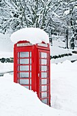 Red telephone box in heavy snow