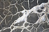 Concrete cracks