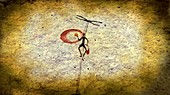 Early honey gathering,cave painting