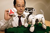 AIBO robot dog research