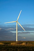 Wind turbine,Kent,UK
