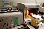 Microwave histology processor