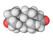 Androstenedione hormone molecule