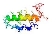 Pancreatic hormone molecule