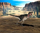 Tarbosaurus dinosaur,computer artwork