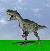 Monolophosaurus,computer artwork