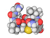 Oxytocin neurotransmitter molecule