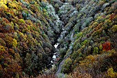 Lynmouth Valley in autumn