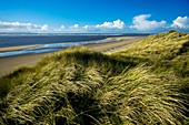 Taw-Torridge Estuary