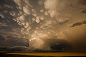 Mammatus clouds over fields,USA