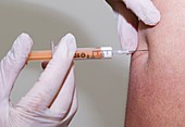 Swine flu vaccination