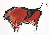 Cave painting of a bison,artwork