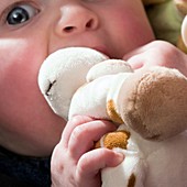 Teething baby holding a stuffed toy