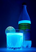 Tonic water in UV light
