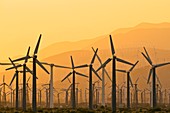 Wind turbines at sunset