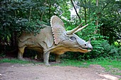 Model triceratops dinosaur