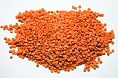 Red lentils