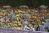 Mixed flowerbed in Spring