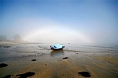 Fog bow