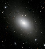 Elliptical galaxy NGC 1132