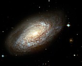 Spiral galaxy NGC 2397