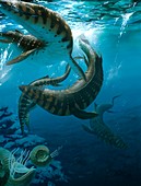 Mosasaur extinct marine reptile,artwork