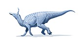 Tsintaosaurus,artwork