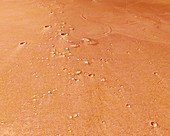 Tiu Valles,Mars,satellite image