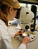 Seed bank technicians