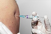 Hepatyrix vaccine for Hep A & typhoid
