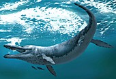 Kronosaurus extinct marine reptile