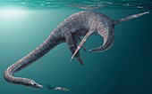 Styxosaurus extinct marine reptile