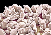 Sugar crystals,SEM