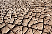 Dry and cracked earth