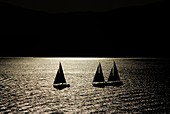Yachts on a lake