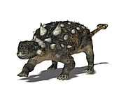 Euoplocephalus,artwork