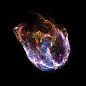 Supernova remnant N132D,X-ray image