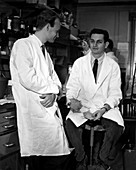 Matthaei and Nirenberg,biochemists